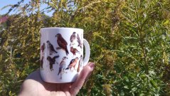 Porcelánový hrnek Dravci