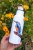 Termoska bandaska 500 a 750 ml termoska Ledňáček