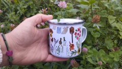 Plecháček Babiččina zahrádka stříbrný lem