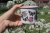 Neplecháček Otakárci šípková růže černý bez růžový vnitřek