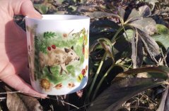 Porcelánový hrnek Prase divoké kanec
