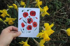 Přání Vlčí máky