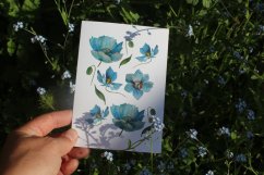 Přání Himalájský modrý mák