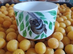 Makronka keramická Lenochod