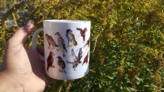 Porcelánový hrnek Dravci