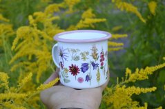 Plecháček Luční kvítí barevný lem