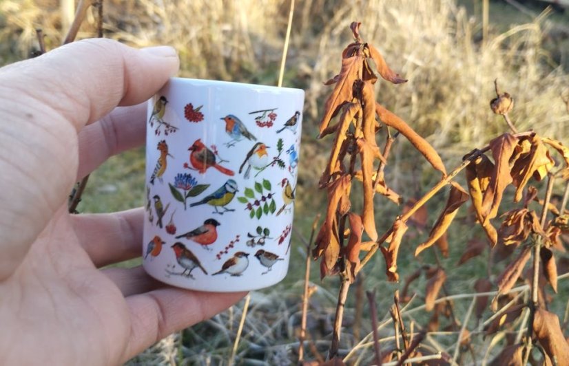 Mini ristretto Ptačí sněm