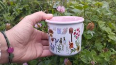 Neplecháček Babiččina zahrádka barevný vnitřek