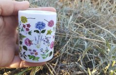 Mini ristretto Rozkvetlá zahrada