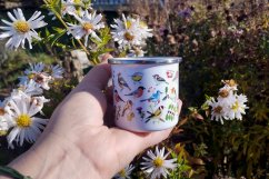 Plecháček malý Ptačí sněm stříbrný lem