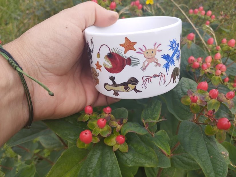 Makronka keramická Podivuhodní tvorové