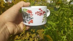 Makronka keramická   Mýval v pelíšku
