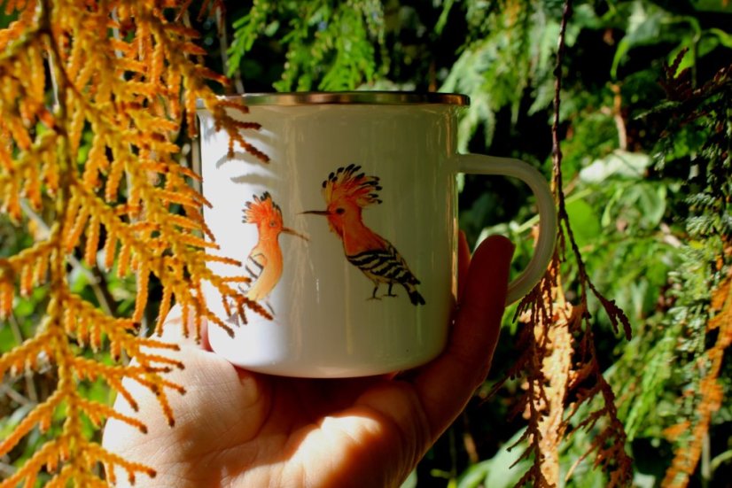 Plecháček Dudkové stříbrný lem