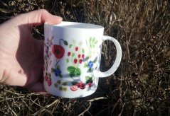 Porcelánový hrnek Letní kvítí a plody